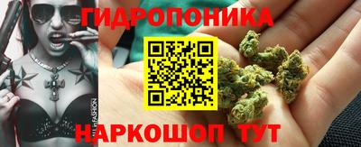 стафф Берёзовский