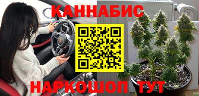 стафф Берёзовский