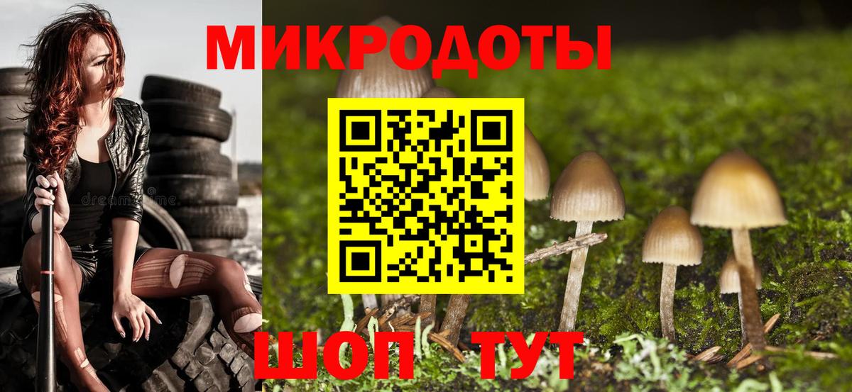 Галлюциногенные грибы Psilocybine cubensis Йошкар-Ола