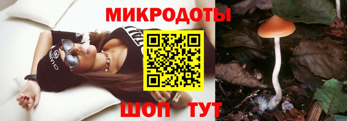 Йошкар-Ола  закладка  Вход с VPN  Псилоцибиновые грибы мицелий 
